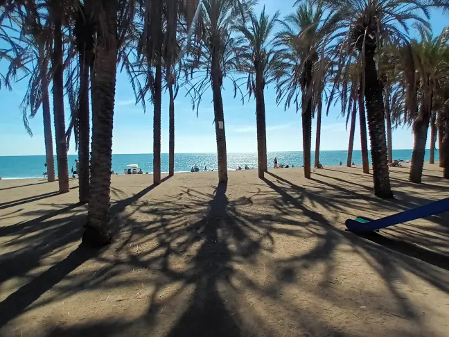 Palm trees on the beach in Fuengirola