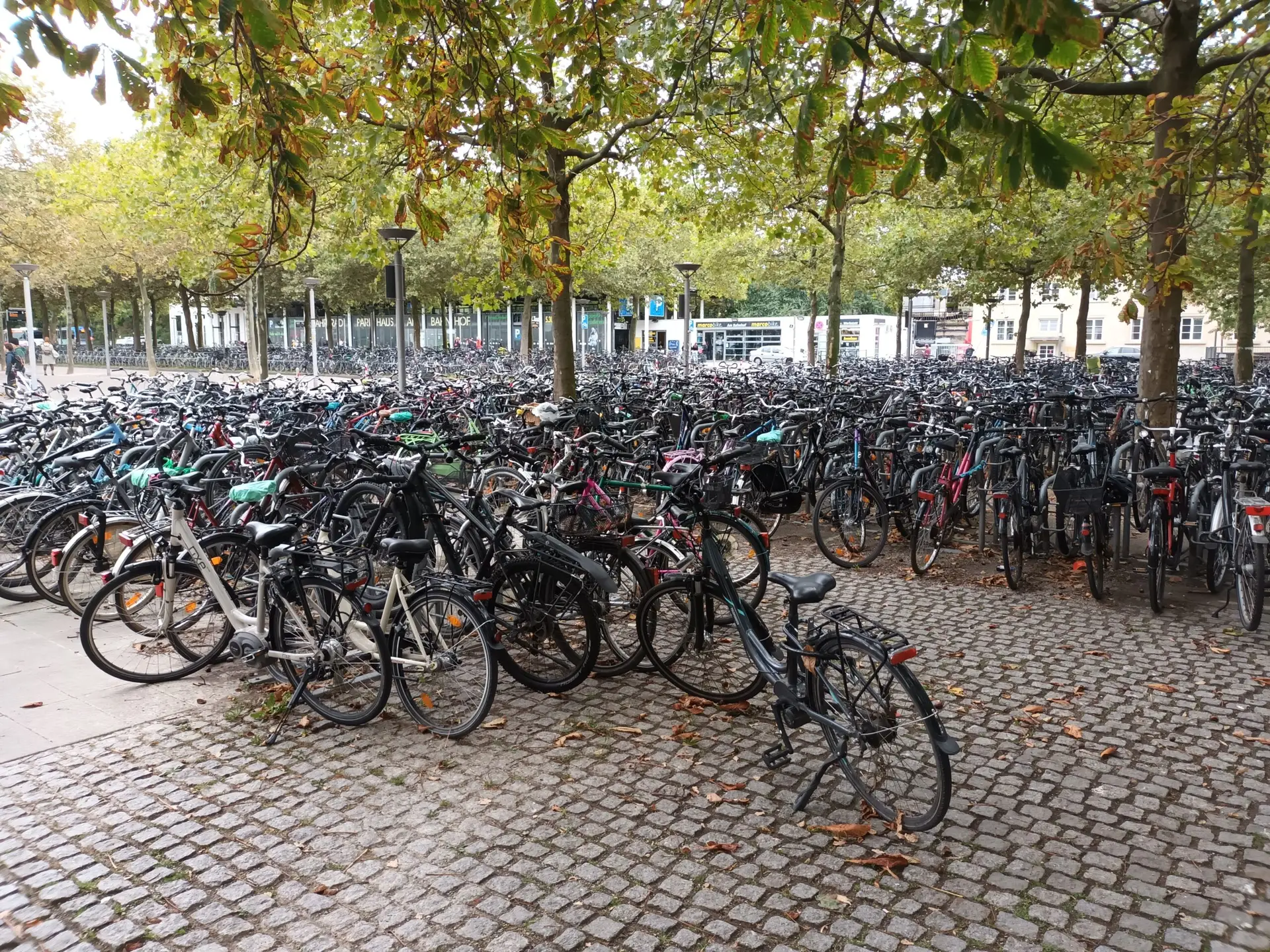 [:en]Lots of bicycles in Göttingen Park[:]